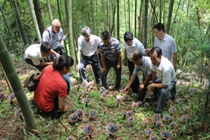 鍐滄潙鑷村瘜绉嶆濂介」鐩湁鍝簺